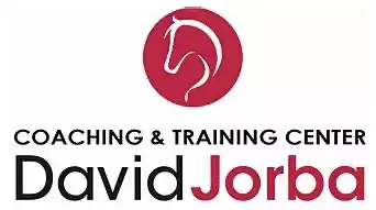 Logo David Jorba webp