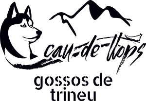 black logo caudellops trans w webp